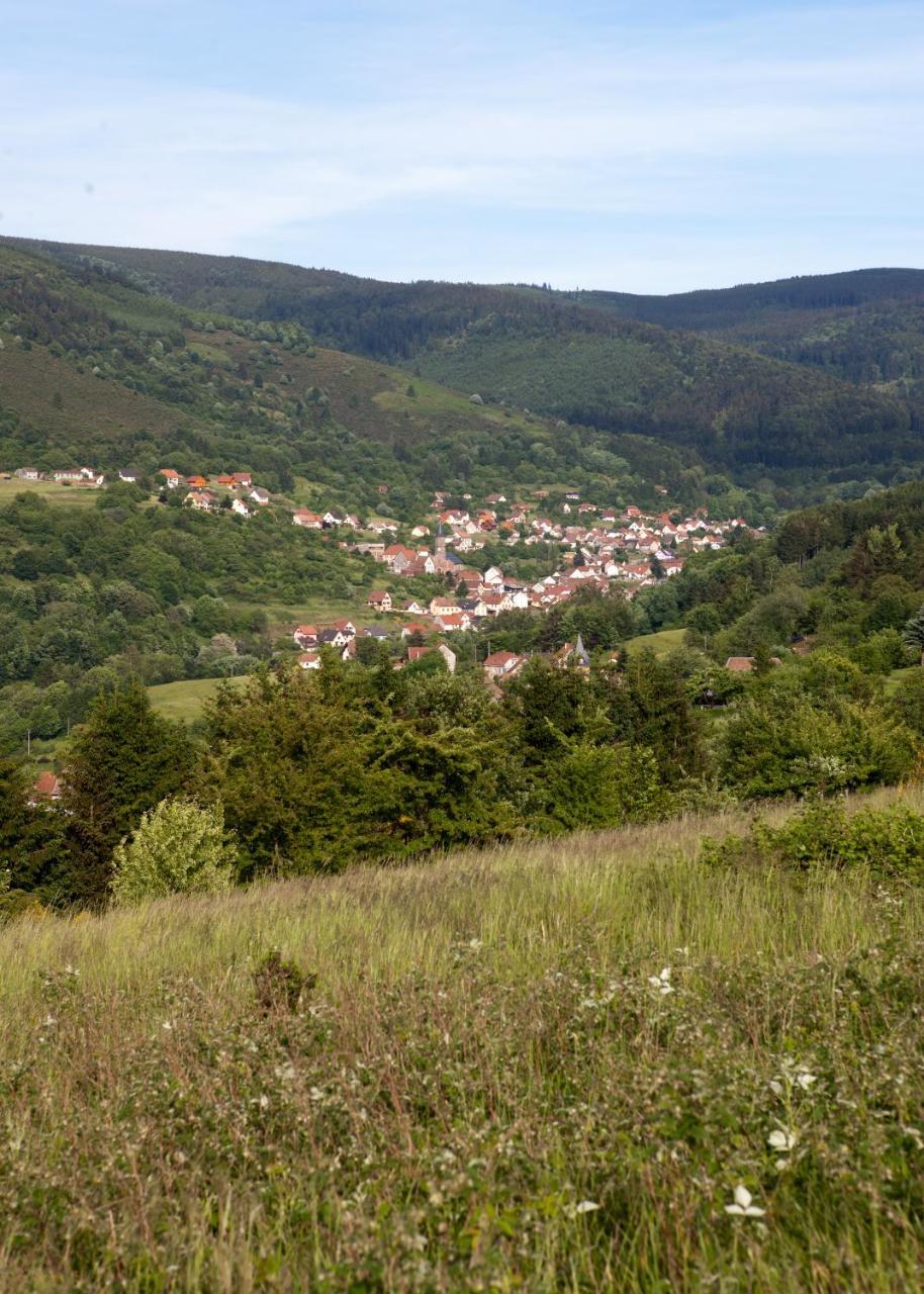 Hotel Restaurant Auberge Metzger Natzwiller ภายนอก รูปภาพ